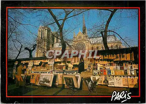 Cartes postales moderne Paris Notre Dame les Bouquinistes