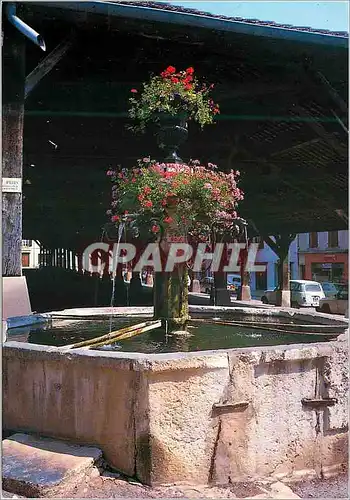 Cartes postales moderne La Cote Saint Andre (Isere) Fontaine Fleurie