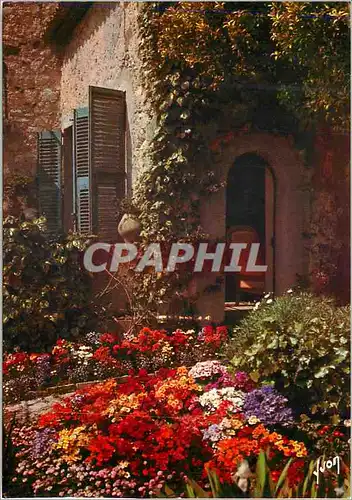 Cartes postales La Cote d'Azur Miracle de la Nature Jardin Fleuri de la Cote d'Azur Couleurs et Lumiere de Franc