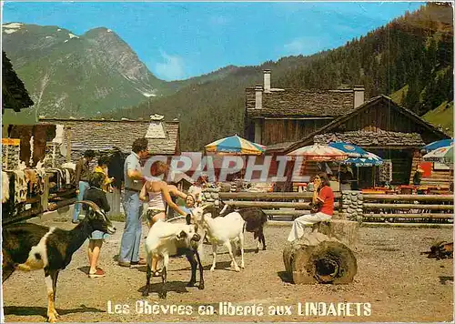 Cartes postales Les Lindarets (Haute Savoie) Route du Col de la Joux Verte altitude 1470m Chevres