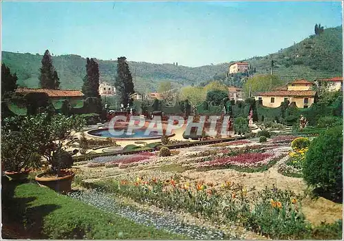 Cartes postales Giardino di Collodi