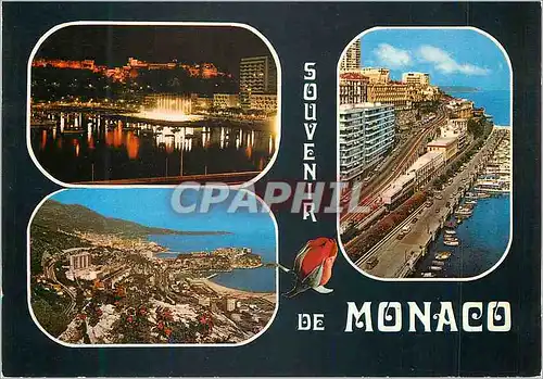 Cartes postales Principaute de Monaco Souvenir de Monaco