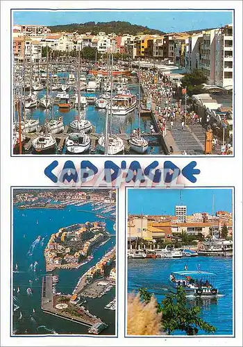 Cartes postales Le Cap d'Agde Nous avons choisi la France et la Mediterranee pour passer nos Vacances Bateaux