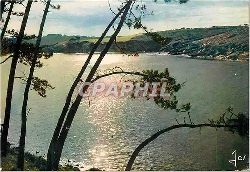 Cartes postales moderne La Bretagne en Couleurs Soir d'Ete sur une Riviere Bretonne le Belon entre Kerfany les Pins et P