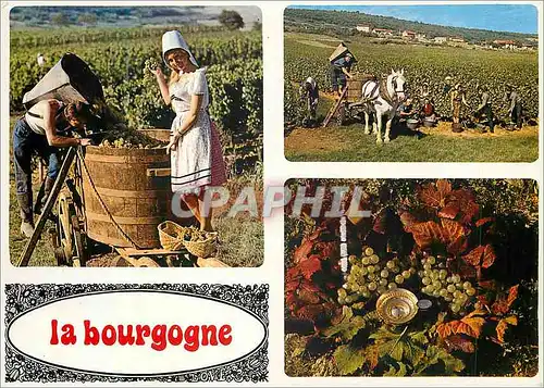 Moderne Karte La Bourgogne Collection Bourguignonne