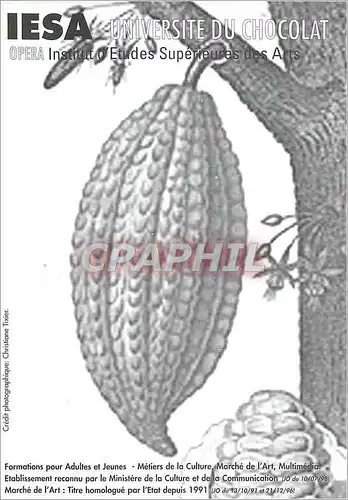 Cartes postales moderne IESA Institut d'Etudes Superieures des Arts Universite du Chocolat