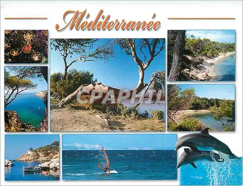 Moderne Karte Sous le Soleil de Provence Mediterranee Dauphin
