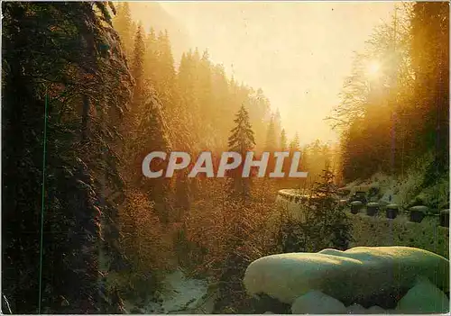 Cartes postales moderne Les Premiers Feux du Matin