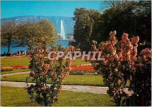 Cartes postales moderne Geneve Parc Mon Repos et Jet d'Eau
