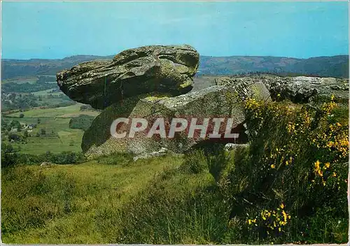 Cartes postales moderne Environs de Treignac (Correze) la Pierre des Druides