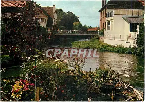 Cartes postales moderne Auxi le Chateau (P de C) l'Authie