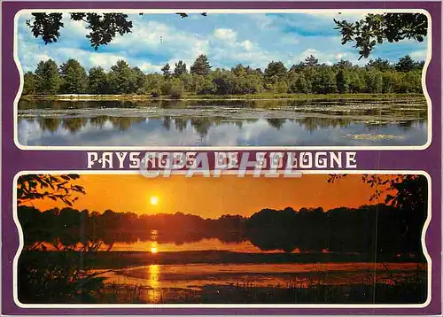 Cartes postales moderne Paysage de Sologne