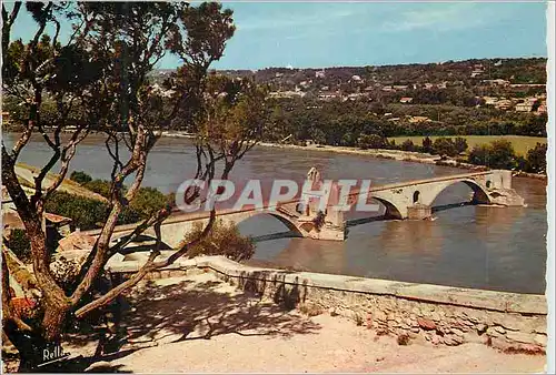 Cartes postales moderne Avignon (Vaucluse) le Pont Saint Benezet et la Chapelle Saint Nicolas