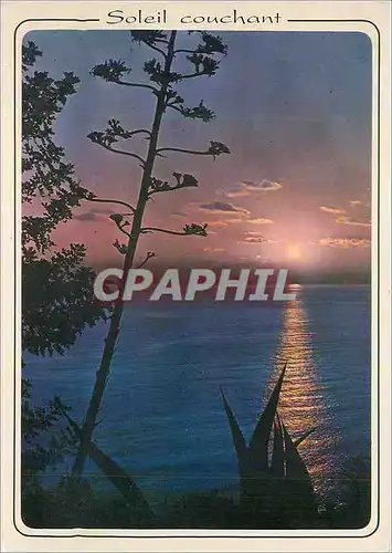 Cartes postales moderne Coucher de Soleil en Mediterranee
