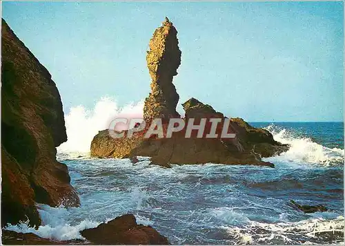 Cartes postales moderne Belle Ile en Mer Couleurs de Bretagne la Bien Nommee