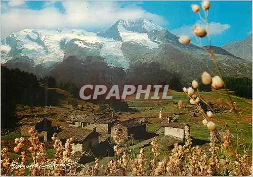 Cartes postales moderne Vie en Montagne