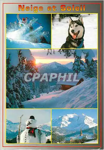 Cartes postales moderne Neige et Soleil Chien Bonhomme de neige Ski