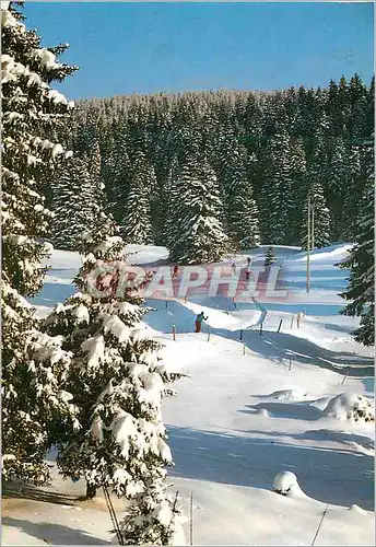 Cartes postales moderne Images de nos Montagnes en Hiver Promenade en Ski de Fond