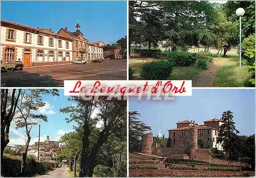 Cartes postales moderne Le Bousquet d'Orb (Herault) la Mairie le Jardin Public Saint Martin le Chateau de Cazilhac