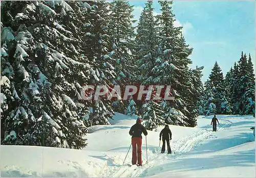 Cartes postales moderne Les Joies du Ski de Fond