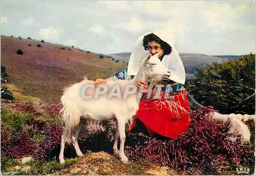 Moderne Karte Les Monedieres le Limousin Pittoresque plus que les Rues de Paris elle aime ses Bruyeres Chevre