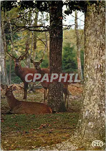 Cartes postales moderne Environs de Vendoeuvres