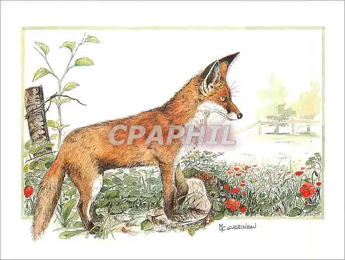 Moderne Karte Le Renard Roux Aquarelle de Marie Claude Guerineau