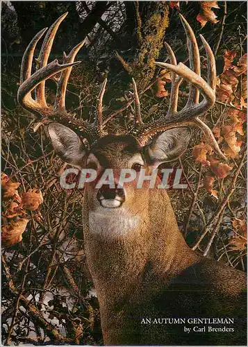Cartes postales moderne An Autumn Gentleman Carl Brenders