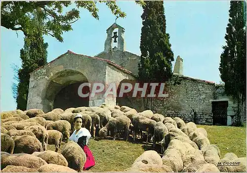 Moderne Karte Tout le Charme du Pays Chante par Frederic Mistral Moutons