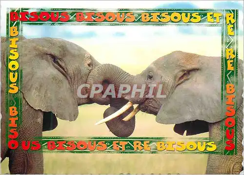 Cartes postales moderne Elephant Fantasia