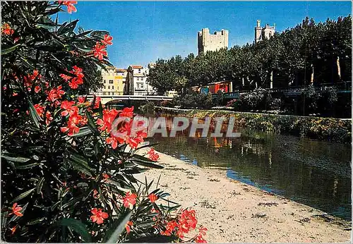 Cartes postales moderne Narbonne (Aube) Les Quais du Canal de la Robine Au fond La Cathedrale