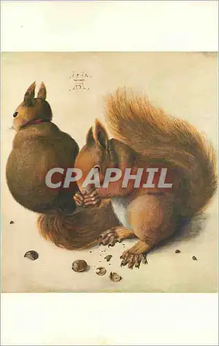 Cartes postales moderne Les Ecureuils Durer (1471 1528) (Collection Particuliere)