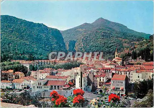 Cartes postales moderne Roussillon Le Vallespir Amelie les Bains Alt 230 m Station Climatique et Thermale
