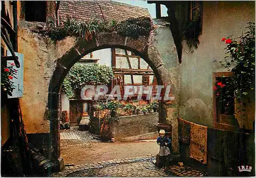 Cartes postales moderne Riquewihr (Haut Rhin) L'Alsace Pittoresque Cour des Juifs (1509)