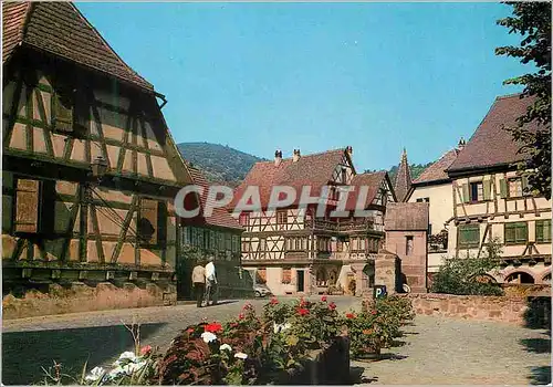 Cartes postales moderne Kaysersberg (Haut Rhin) L'Alsace Pittoresque Maisons Typiques