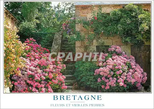 Cartes postales moderne Couleurs de Bretagne Fleurs et Vieilles Pierres