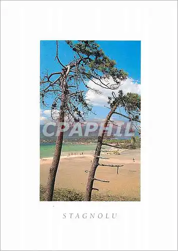 Cartes postales moderne Baie de Stagnolu Corse Golfe de Porto Vecchio