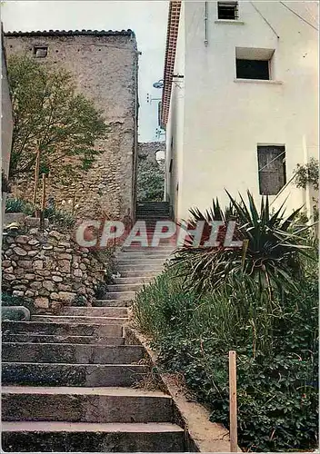 Cartes postales moderne Puimichel Escaliers Montant a Saint Elzeard