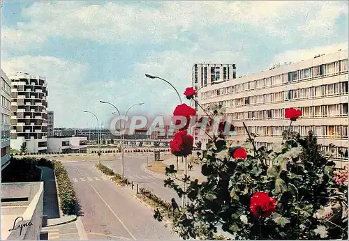 Cartes postales moderne Argenteuil (Val d'Oise) Rue de la Berionne