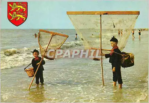 Cartes postales moderne La Cote Normande Pecheurs de Crevettes Peche Lion Enfants