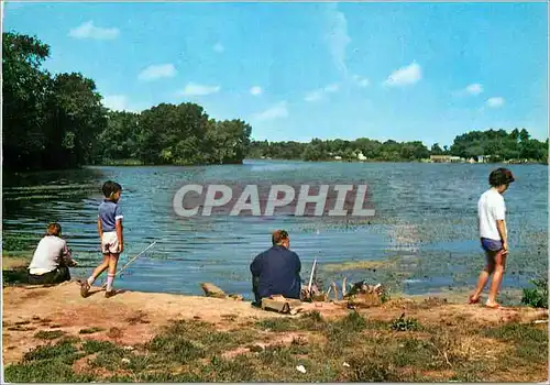 Cartes postales moderne Ardres (Pas de Calais) (16 Km de Calais) Arts et Couleurs Le Lac Paisible Detente Enfants Peche