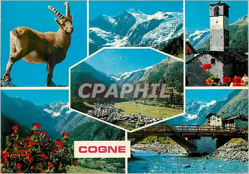 Cartes postales moderne Cogne m 1573 Stambecco Panorama La valnontey