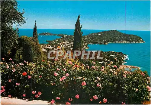 Moderne Karte Le Cap Ferrat Vue Pittoresque de la Cote d'Azur French Riviera