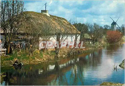 Cartes postales moderne La Vendee Pittoresque Bourrine et Moulin dans le Marais