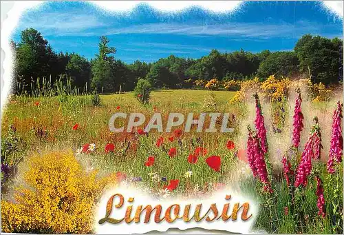 Cartes postales moderne Limousin
