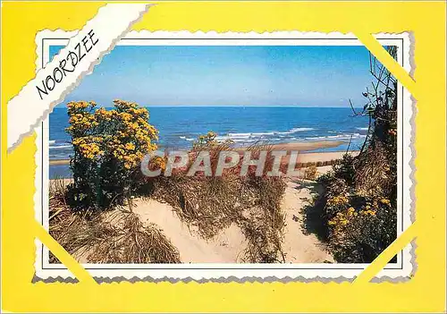 Cartes postales moderne Noordzee