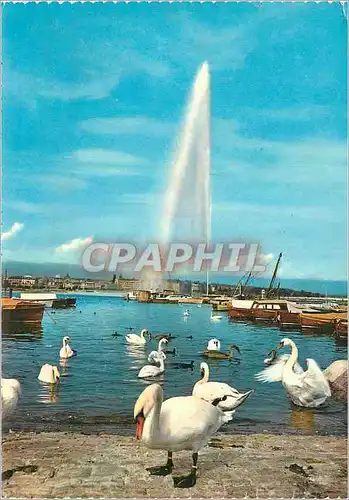 Cartes postales moderne Geneve Le Jet d'Eau (120 m) et les Cygnes Bateaux