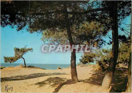 Cartes postales moderne Saint Brevin Les Pins sur la Dune