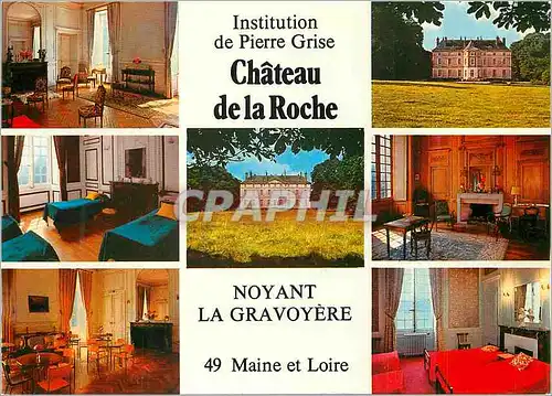 Cartes postales moderne Noyant la Gravoyere Chateau de la Roche Institution Privee de Pierre Grise
