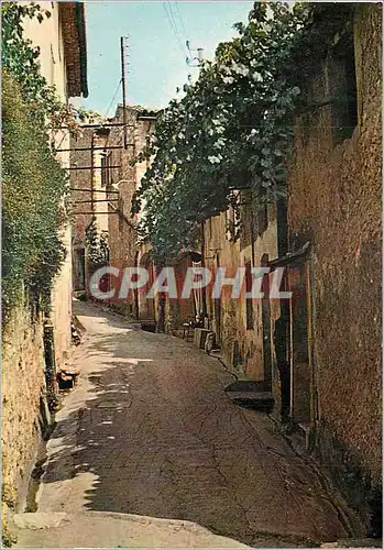 Cartes postales moderne La Gaude (Alt 236 m) et ses Vieilles rues Pittoresques